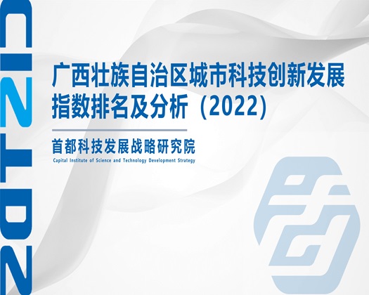 摸逼免费看片【成果发布】广西壮族自治区城市科技创新发展指数排名及分析（2022）